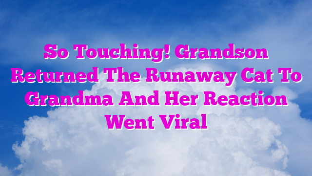 So Touching! Grandson Returned The Runaway Cat To Grandma And Her Reaction Went Viral