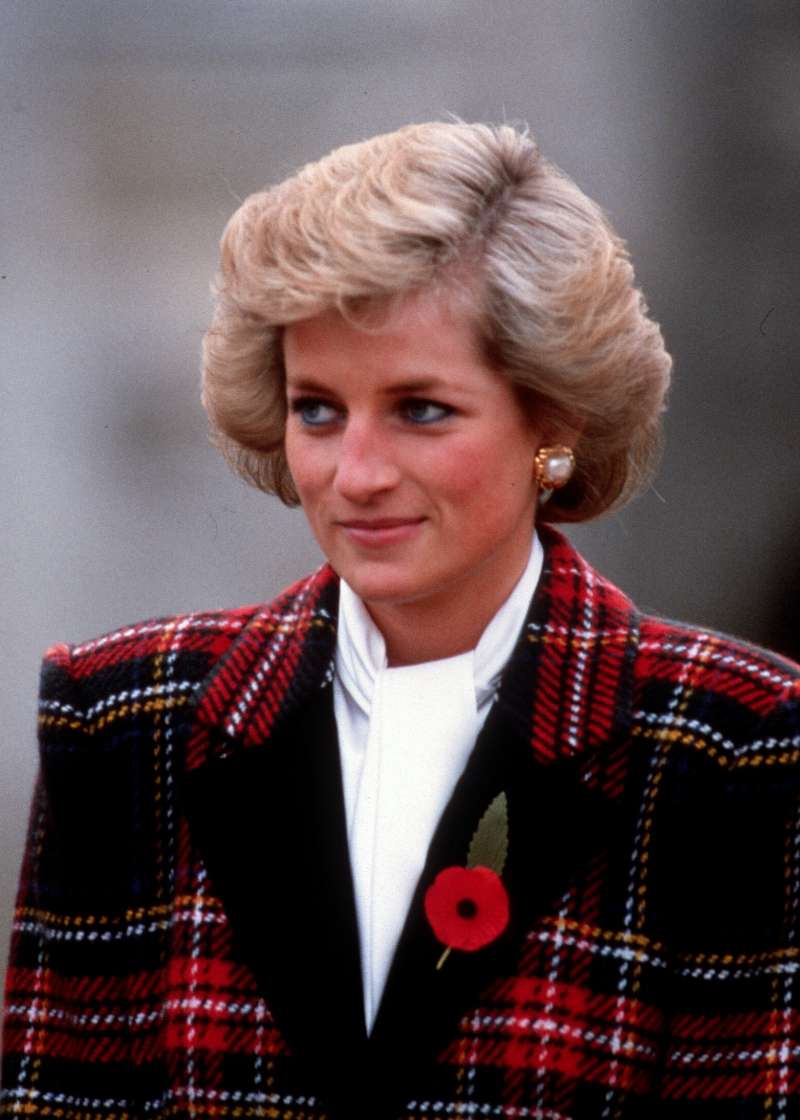 Lady Di's Last Will: How Diana's Sister And Mother Changed It In Favor Of Princes William And Harry